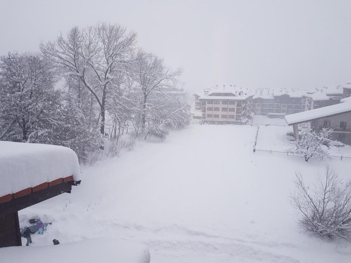 Mountain View Resort - Apartment B45 Bansko Luaran gambar