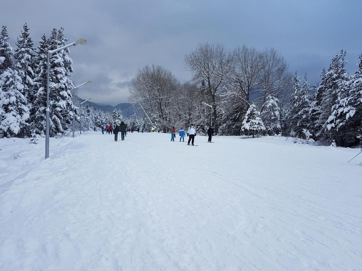 Mountain View Resort - Apartment B45 Bansko Luaran gambar